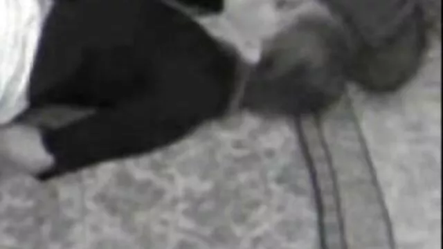 POV Hentai Mädchen reifen pornos Ersten Fick